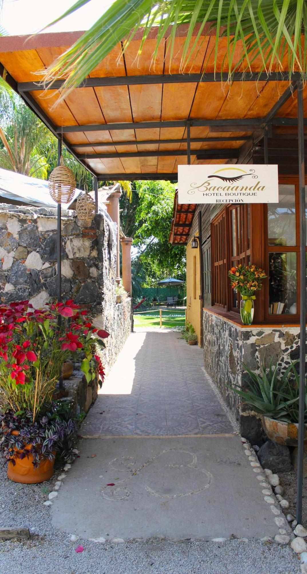 Hotel Boutique Bacaanda تيبوزتلان المظهر الخارجي الصورة
