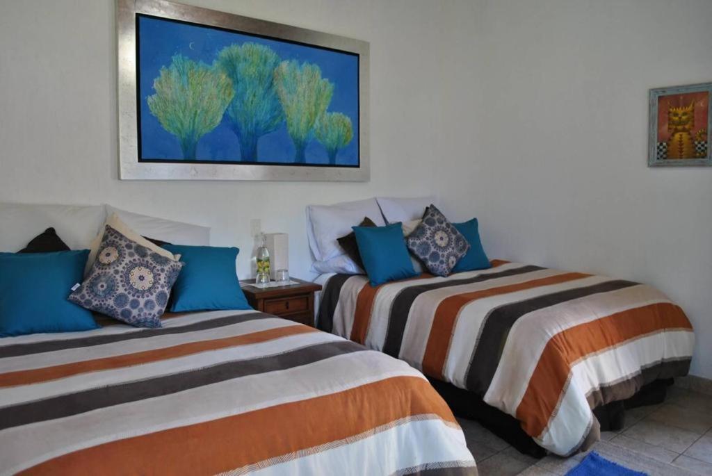 Hotel Boutique Bacaanda تيبوزتلان المظهر الخارجي الصورة